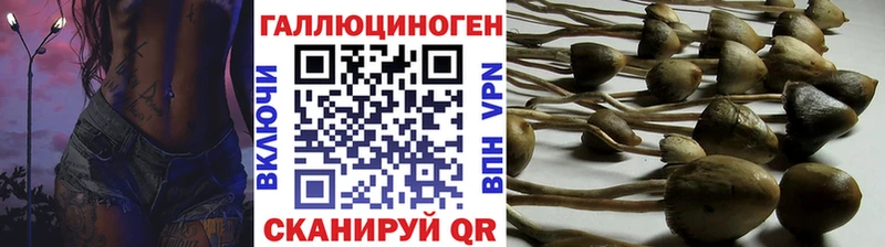 Галлюциногенные грибы MAGIC MUSHROOMS Долинск